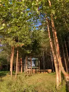 Lampi Camp - 14