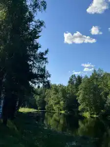 Березкина Заимка - 71