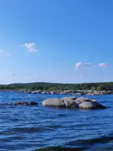 Сосенка - 20