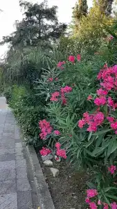 Санаторий Аврора - 70