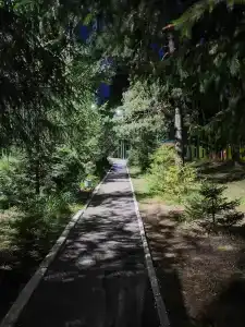 Сура - 4