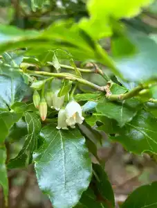 Частный дом - 14