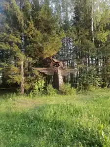 Живица - 28