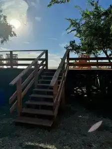 Амбассадор - 61