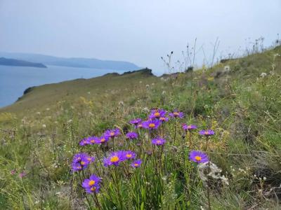 Мир Байкала - 51