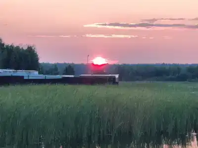 Акуля - 6