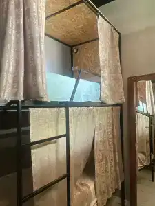 Пальмира - 26