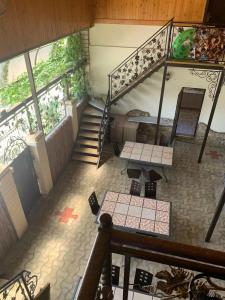 Дельфиния - 28