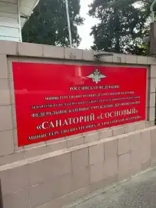 Сосновый - 79