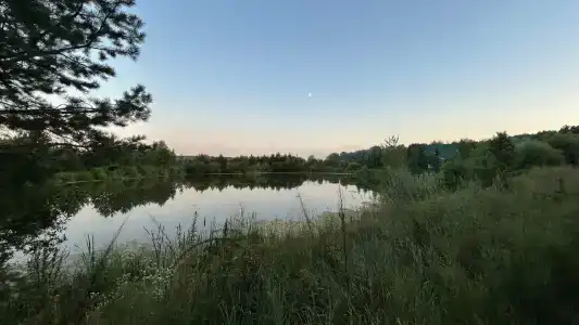 Сура - 60