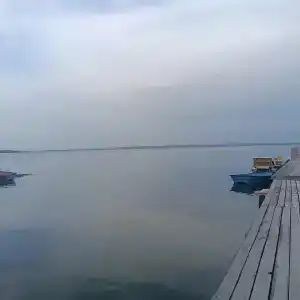 Чайка - 47