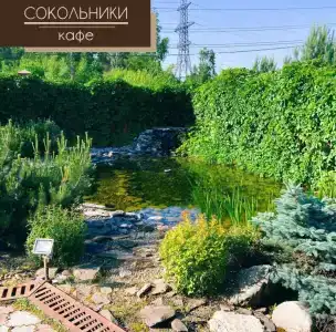 Сокольники - 12