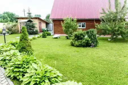 Династия - 5