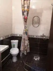 Сосновый бор - 28