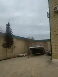 Лотос - 29