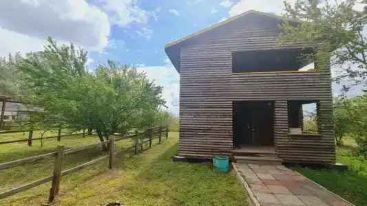 Розовый Фламинго - 6