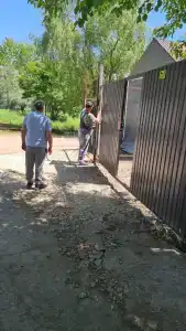 Горизонт - 11