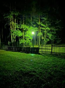 Зенит - 12