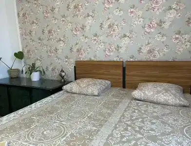 Подсолнух - 32