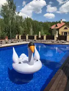 Гости - 16