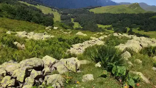 Auadkhara - 35