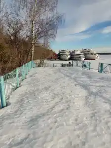 Хвойный бор - 43