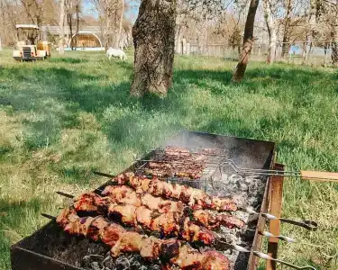 Мечта Тея - 61