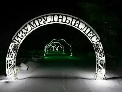 Лесная история - 13