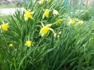 Частный дом на Октябрьской 36 - 22