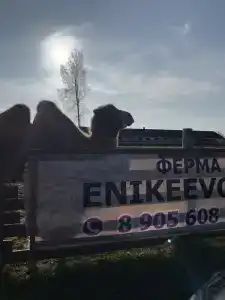 Еникеево - 43