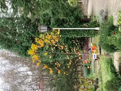 Минеральный - 34