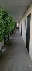 Дольче Вита - 8