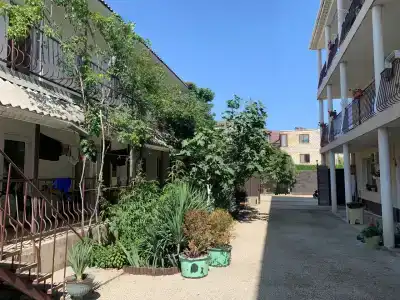 Амир-Дани - 22