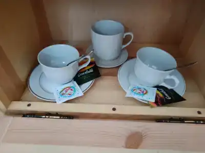 Беловежская пуща. №2 - 58