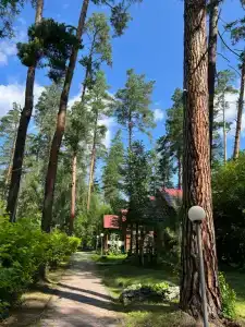 Алтаир - 40