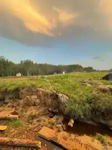Веселая ферма - 48