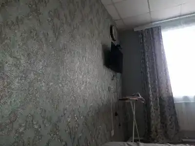 Метелица - 17