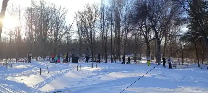 Воронье гнездо - 20