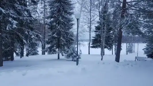 Ворошилово - 29