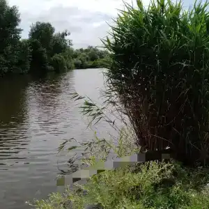 База отдыха у Викторовича - 30