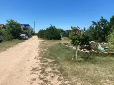 Сафари - 16