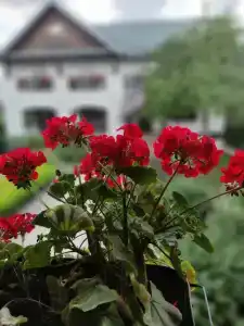 Старая Провинция - 6