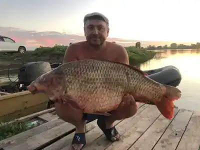 У Иваныча - 3