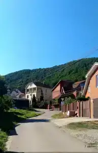 Розмарин - 27