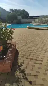 Фламинго - 44