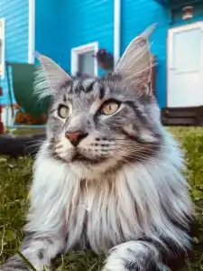 Витальница - 8