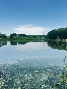 Катринхофен - 1