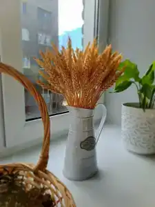 Лопарочка - 99