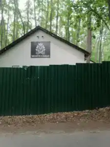 Монте-Карло - 77