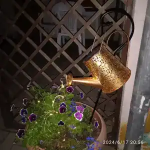 Домики на Советской 8 - 19